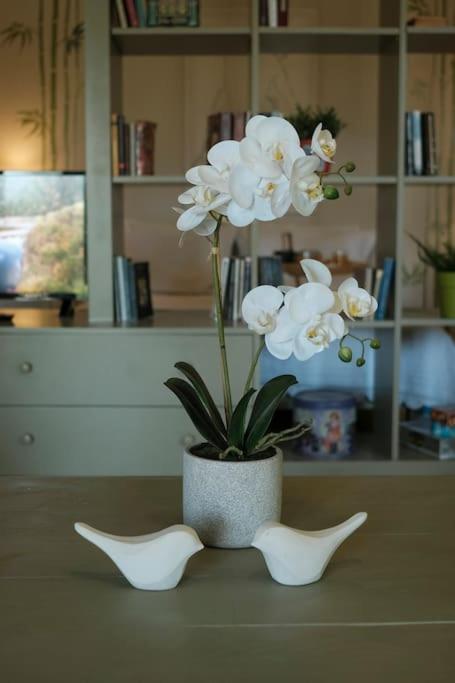 Apartment With Garden In Thessaloniki. エクステリア 写真